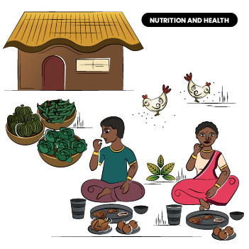 Diets and Consumption